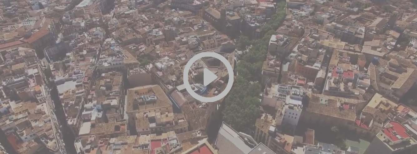 Tap Lingo learning Spanish